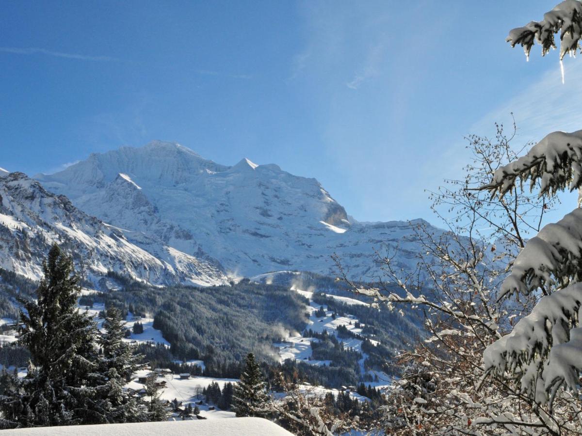 Apartment Eigersonne Wengen Extérieur photo